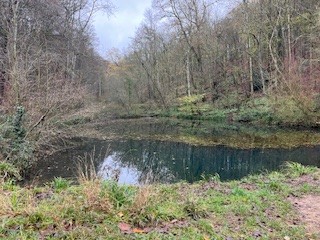 From Cranham common to church