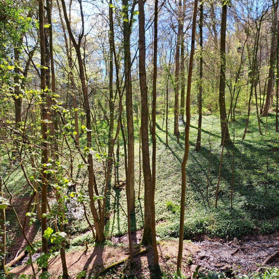 Cranham and Cooper’s Hill
