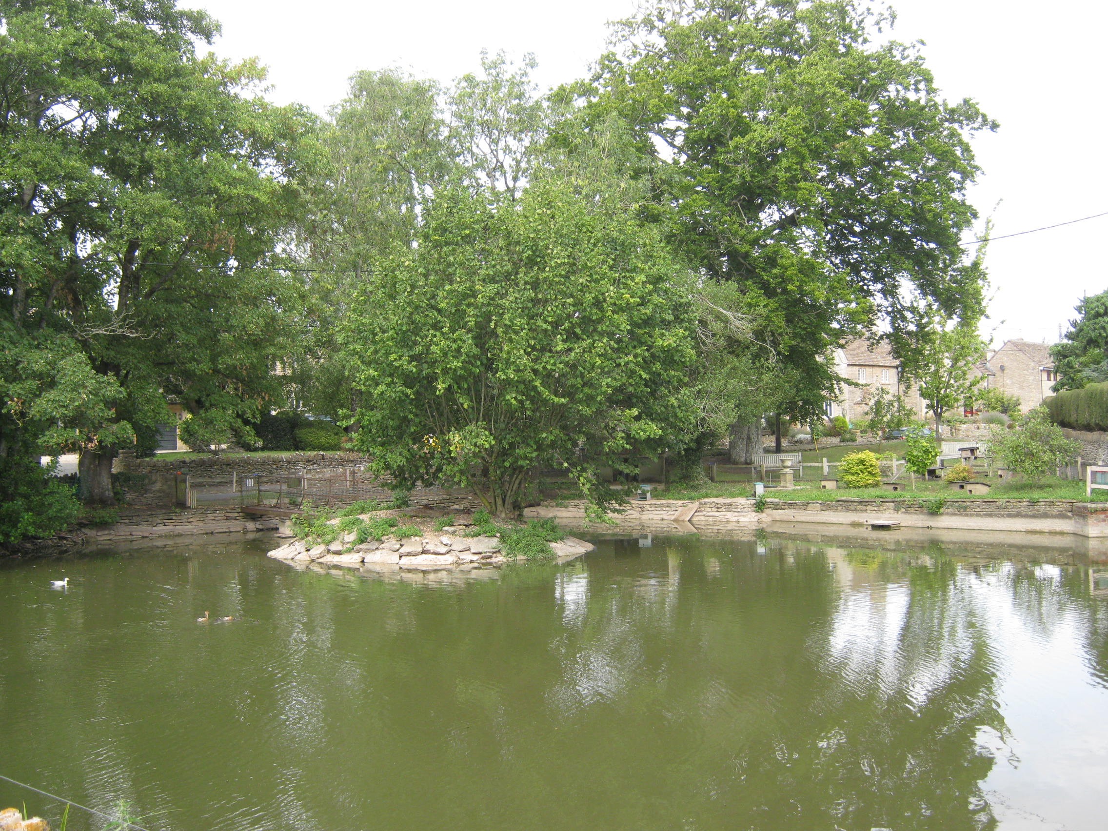 In the footsteps of Athelstan: Luckington, Alderton and Littleton Drew