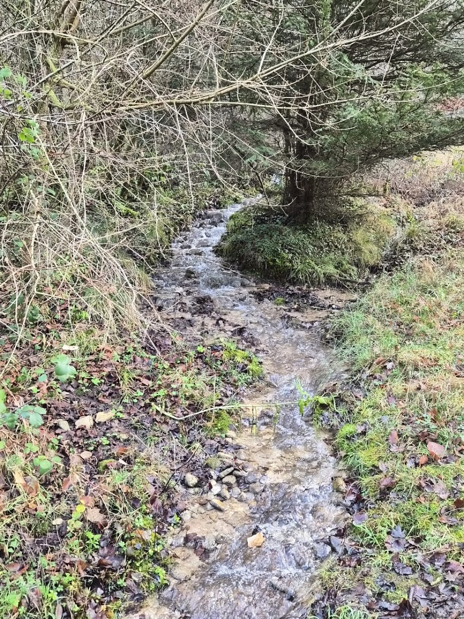 Sapperton Saturday ‘The Wrong Way’