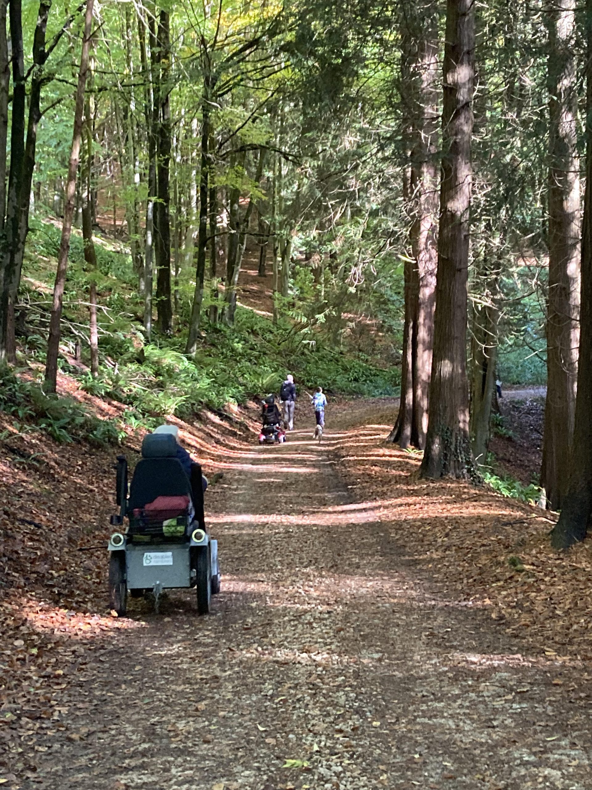 NT Woodchester Park – pre-booking required 