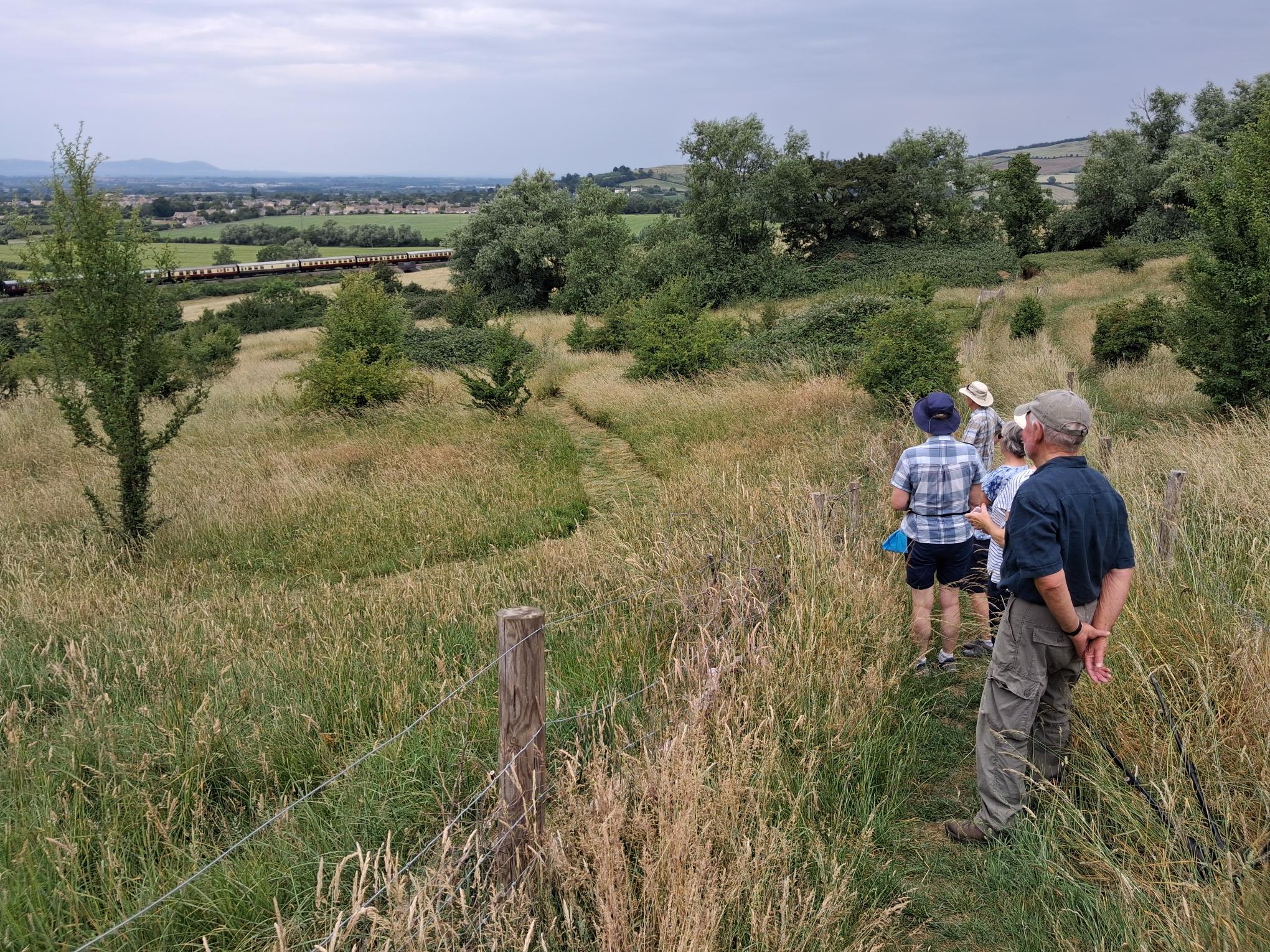 Shorter and Steadier - An Evening Walk from Woodmancote
