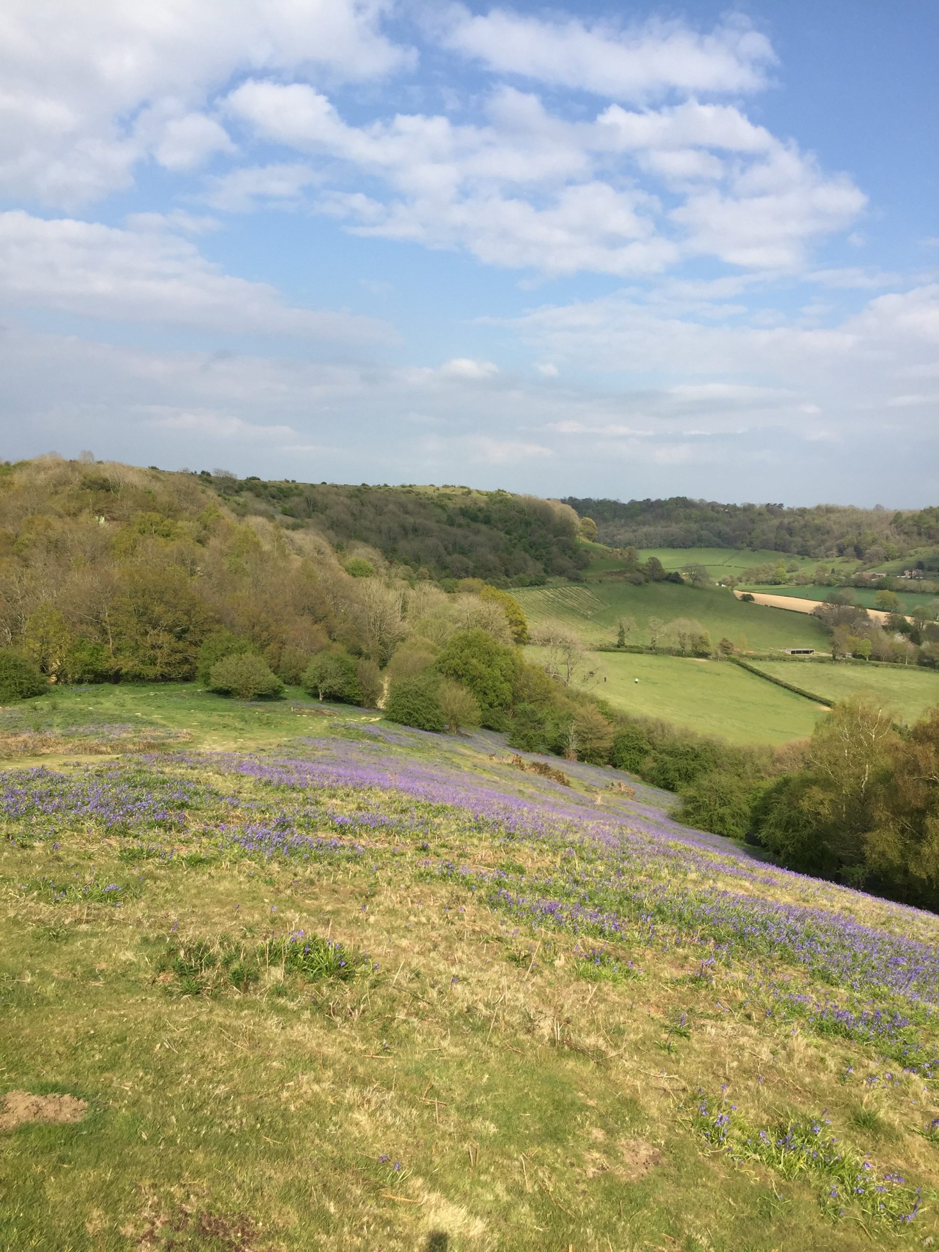 Cam Peak - Bluebells and Vistas