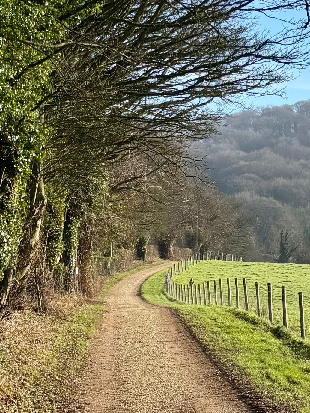 From Cranham to Paradise