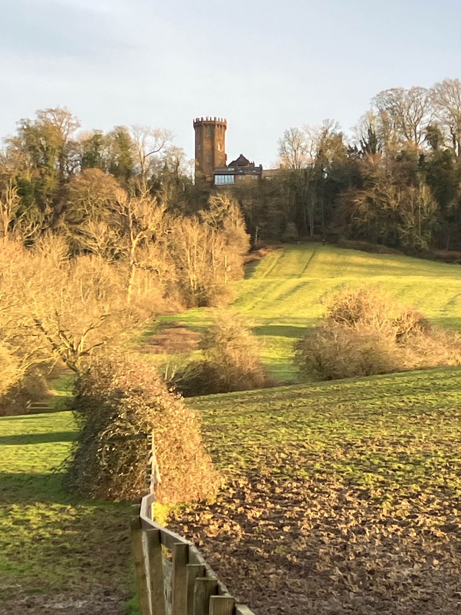Sanderson Miller and the Red Horse