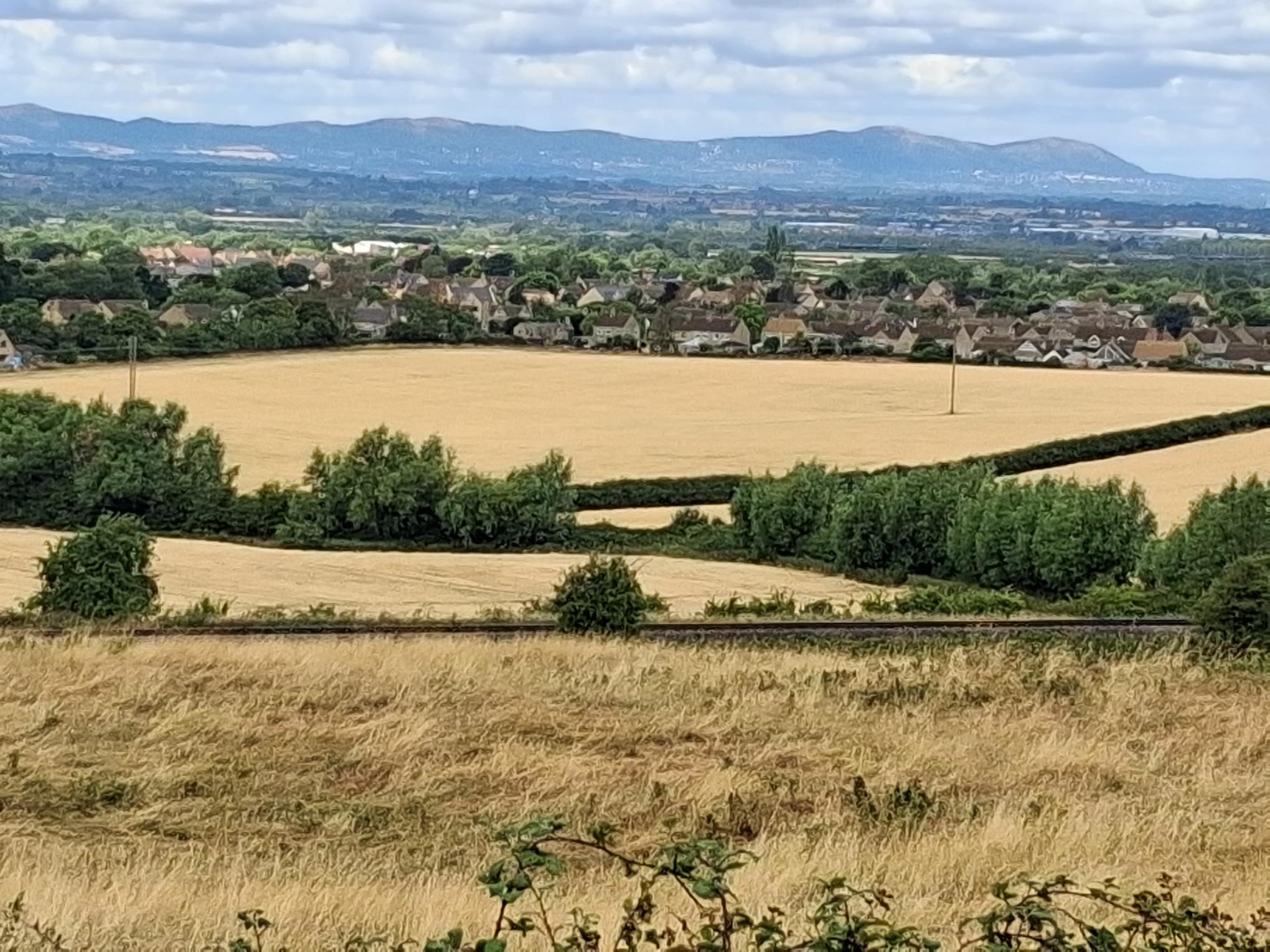 Shorter and Steadier - A Morning Walk from Woodmancote