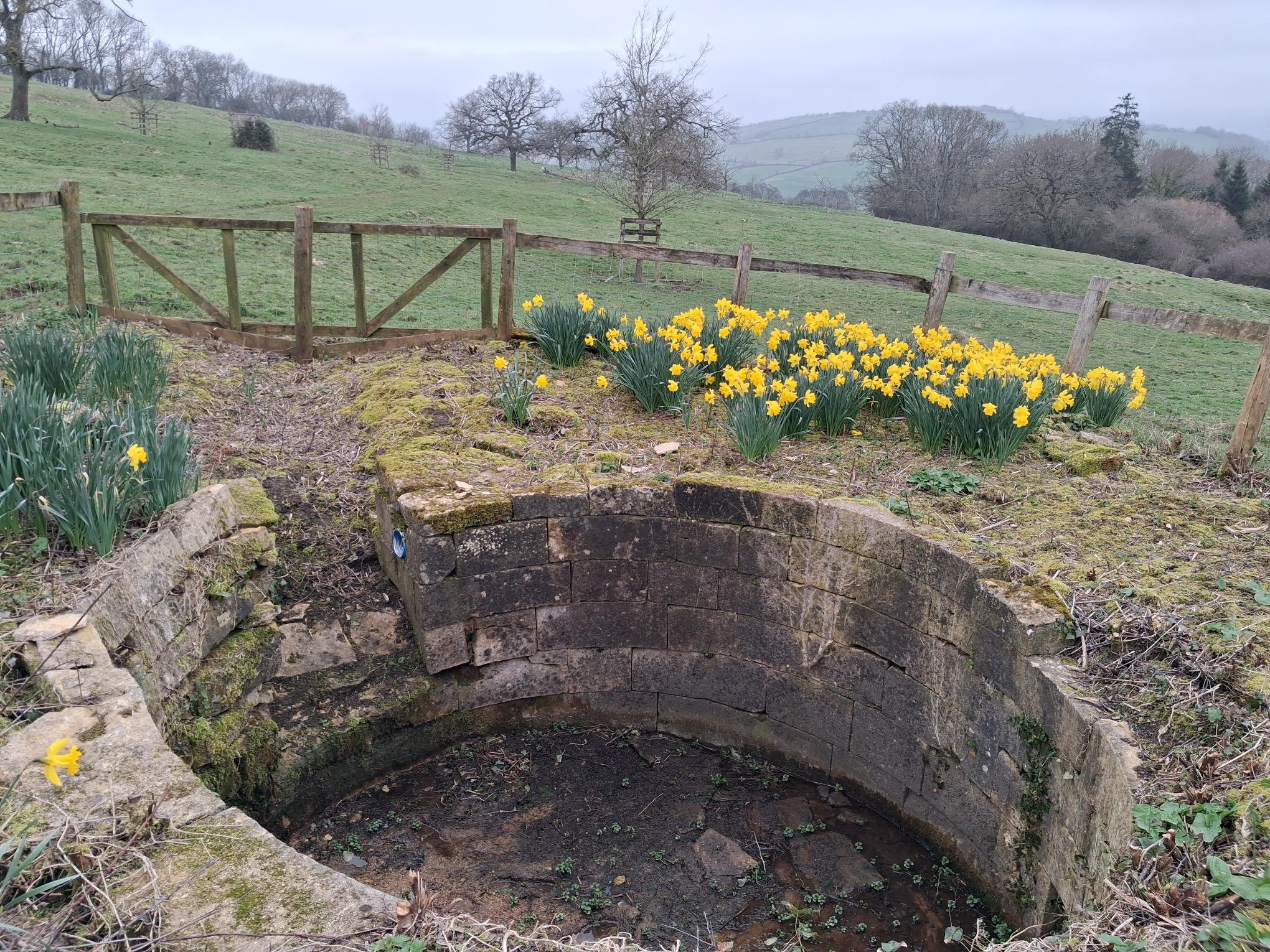 CNL 60 - Springtime around Nottingham Hill