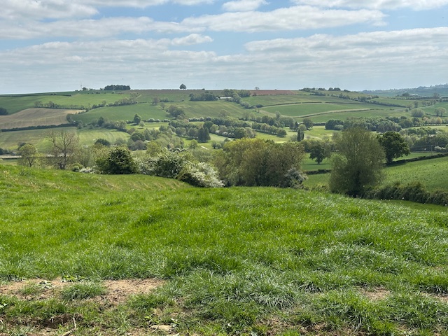 Three Hills and a Sauna - Reversed