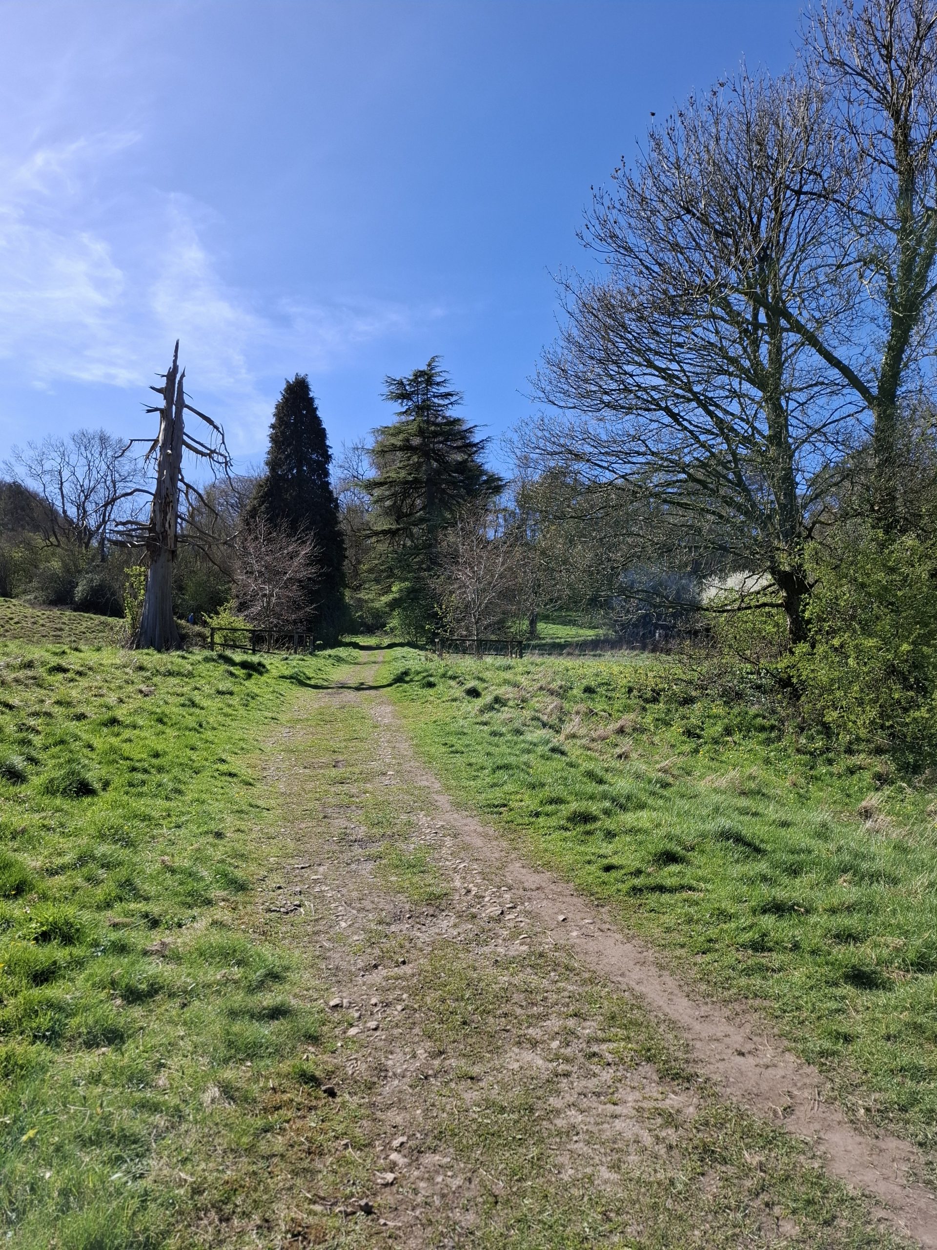 Crippetts to Crickley one of my favourite walks