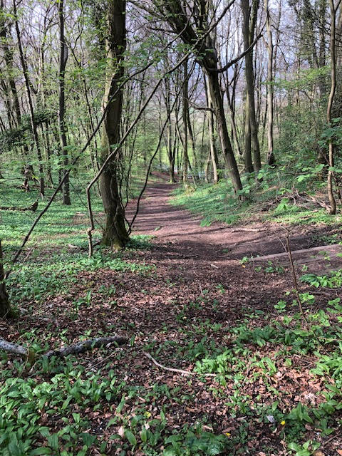 The Highs and the lows of Cranham