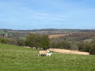 Hidden Valleys around Elkstone