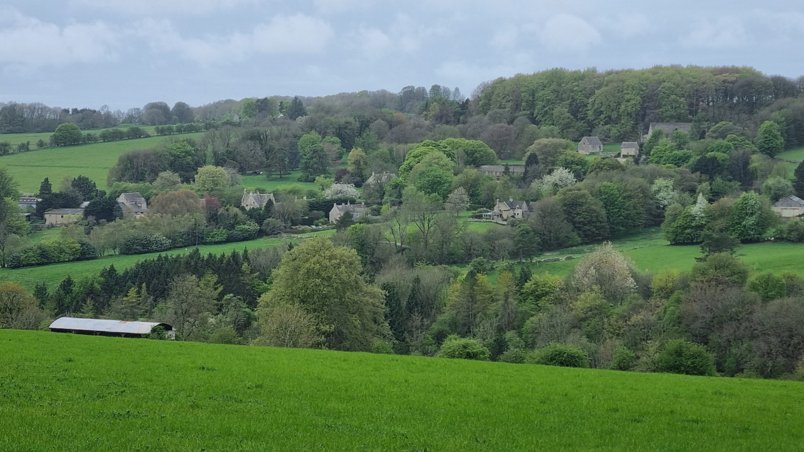 Shorter and Steadier 7 2026 Miserden