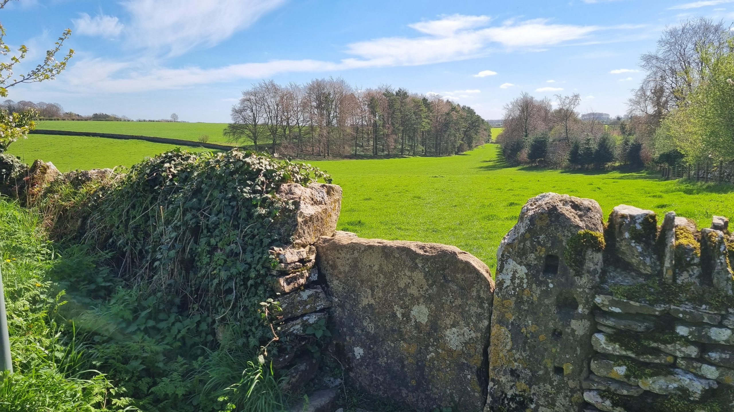 Shorter and Steadier 5 2026 Winstone