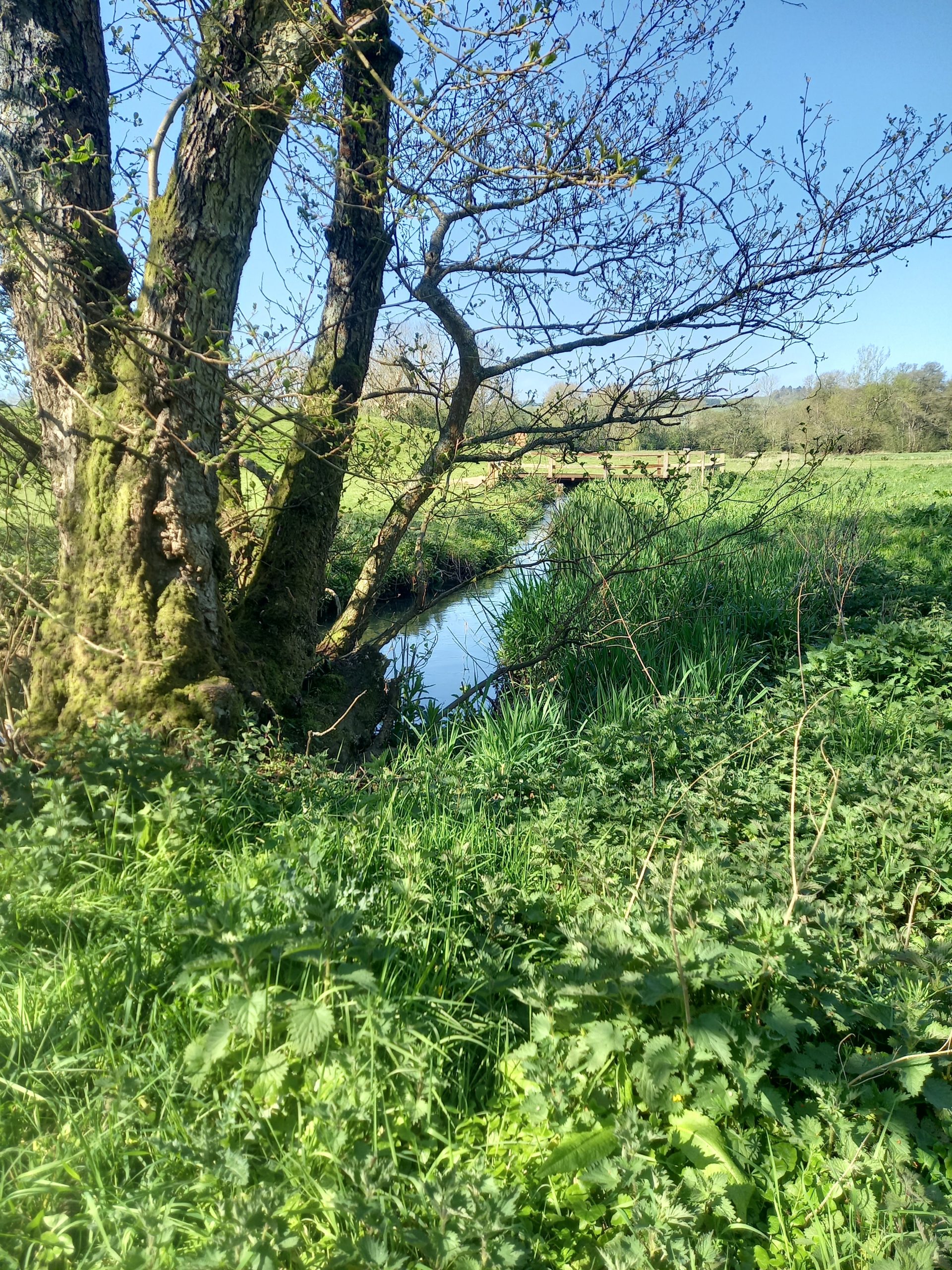 Coln River Trail - Leg 3 - Andoversford to Withington