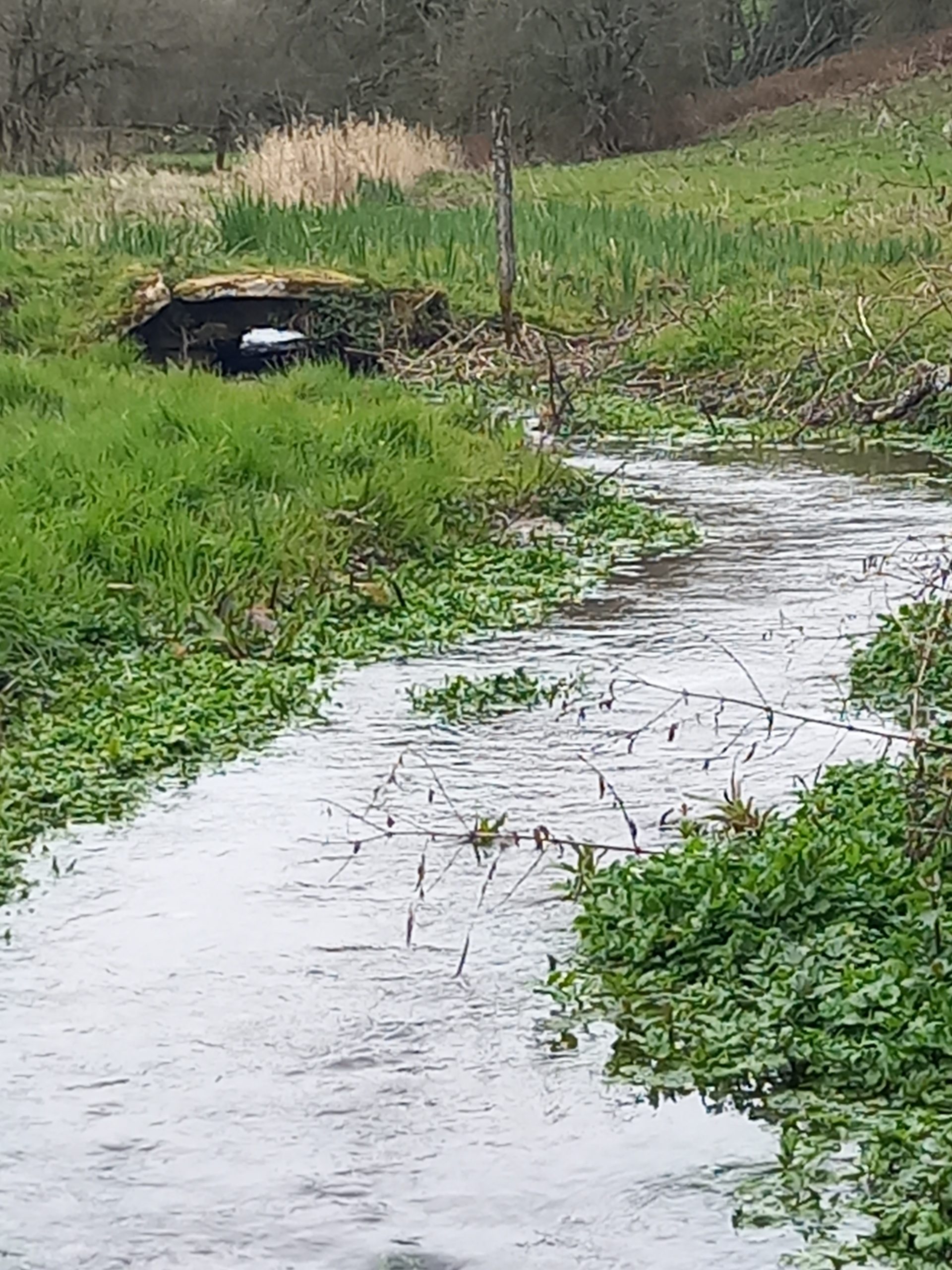 Coln River Trail - Leg 3 - Andoversford to Withington