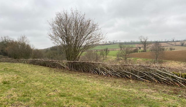 CNL60 Guiting Power: a flourishing village or a chocolate box village?