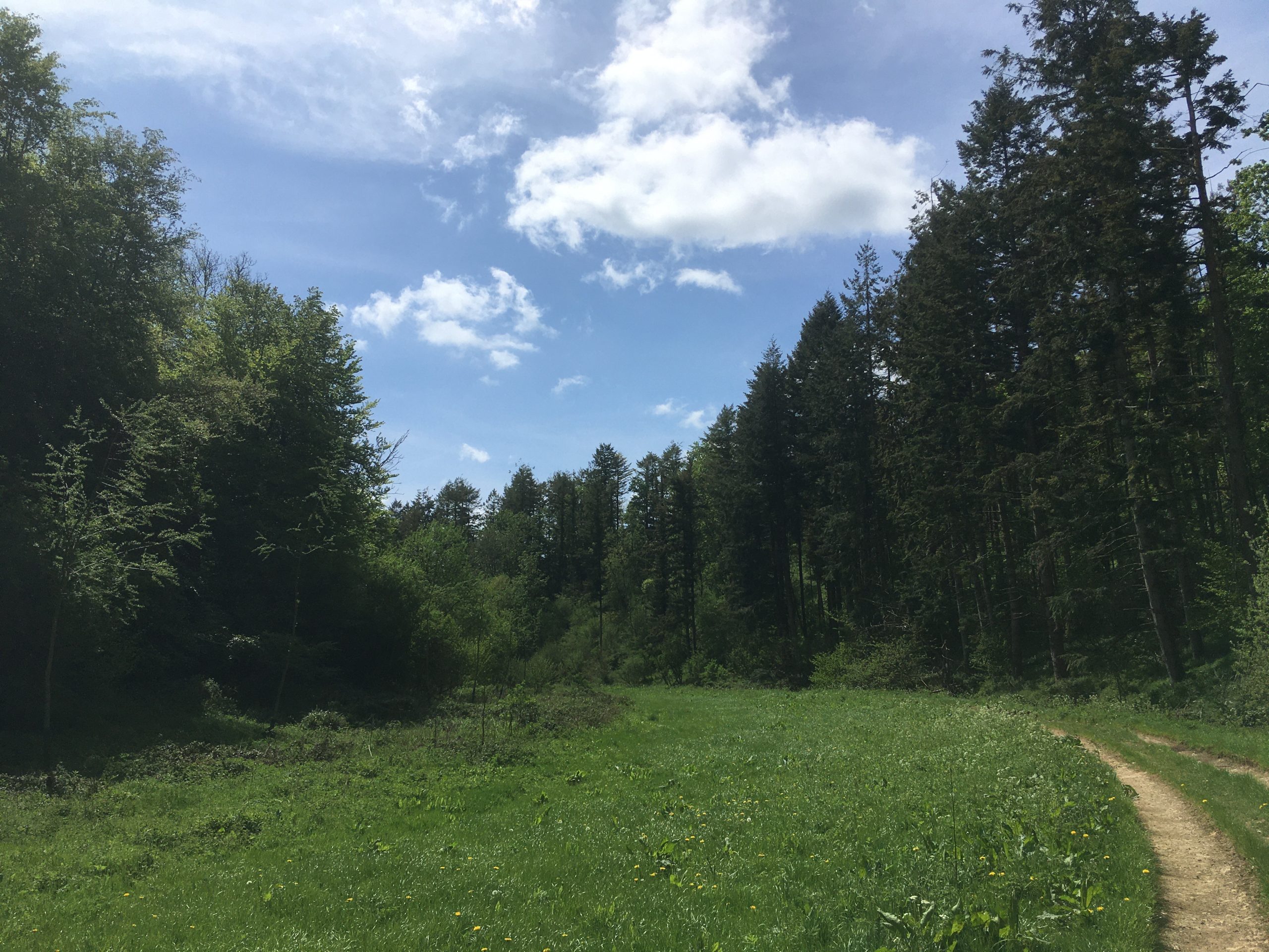 A Vanished Castle and River Restoration