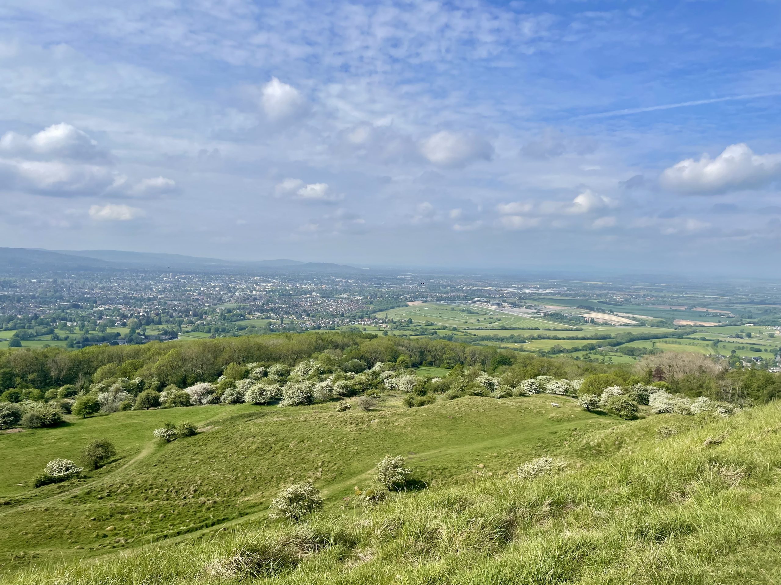 Crown of Cleeve