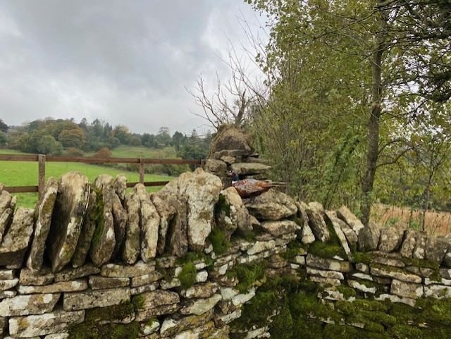 Windrush, Sherborne and a couple of Barringtons: comprehensively Cotswolds!