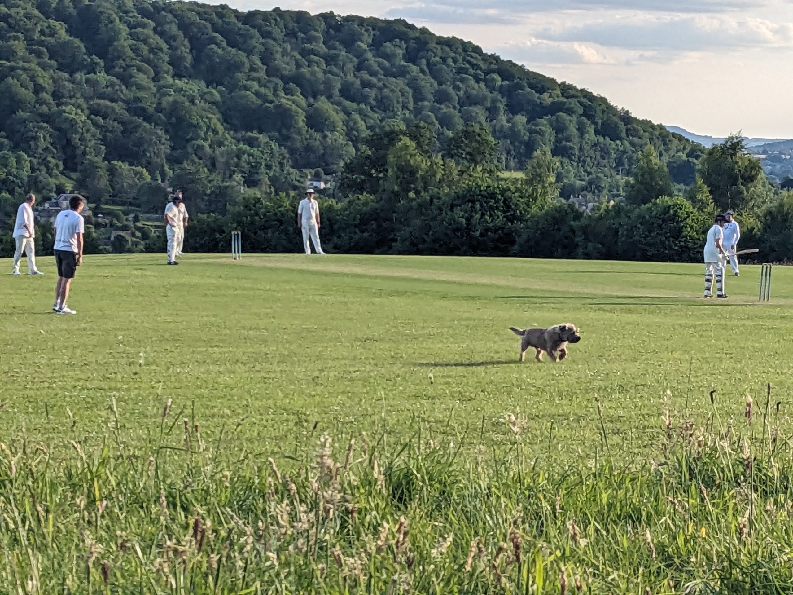 A Cranham Cracker - SATURDAY WALKING