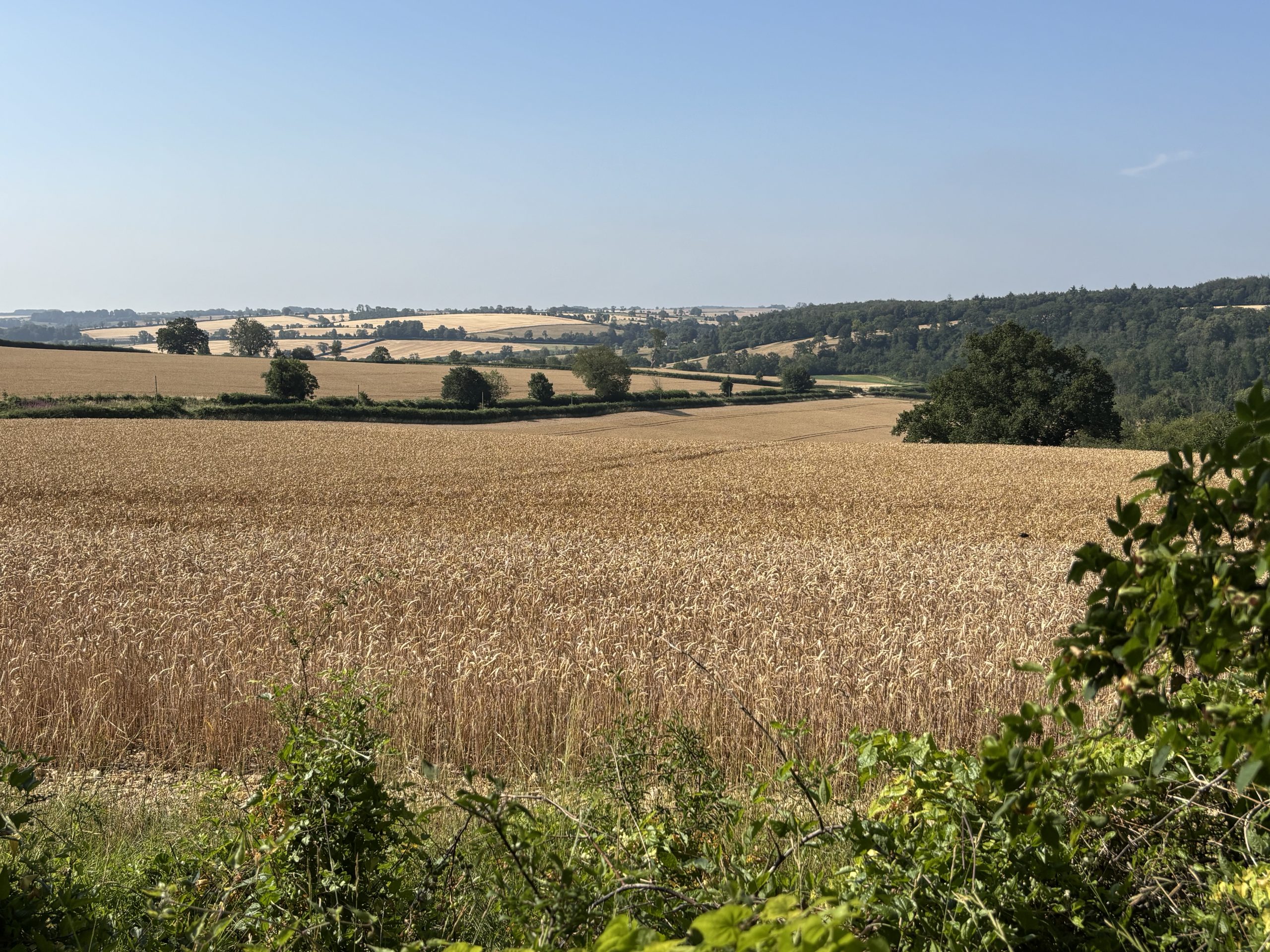 Beyond the Grasshopper: Exploring the Paths around Temple Guiting