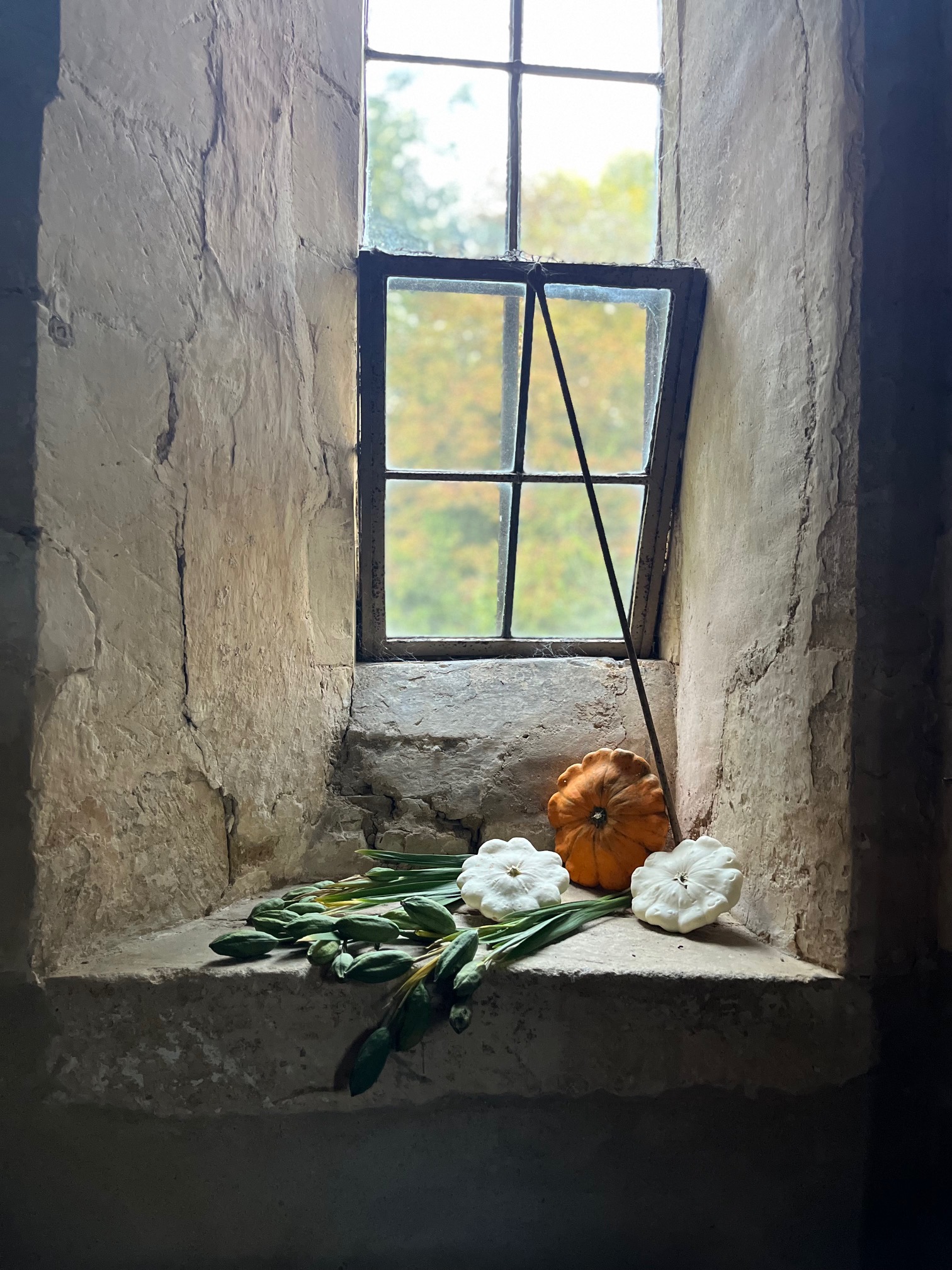 From Medieval to Modern:  A Wander through History