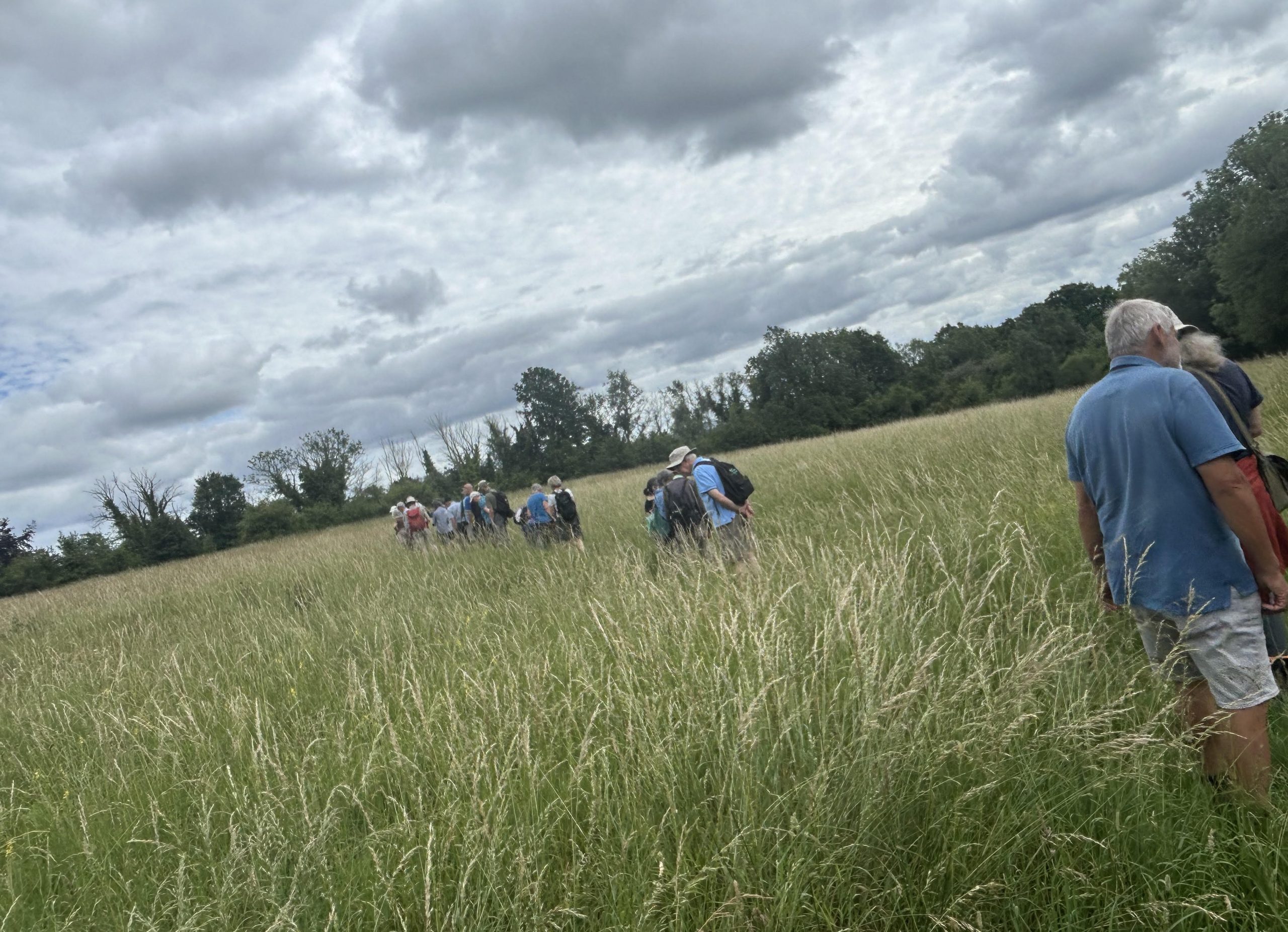 Bath Wellbeing walk