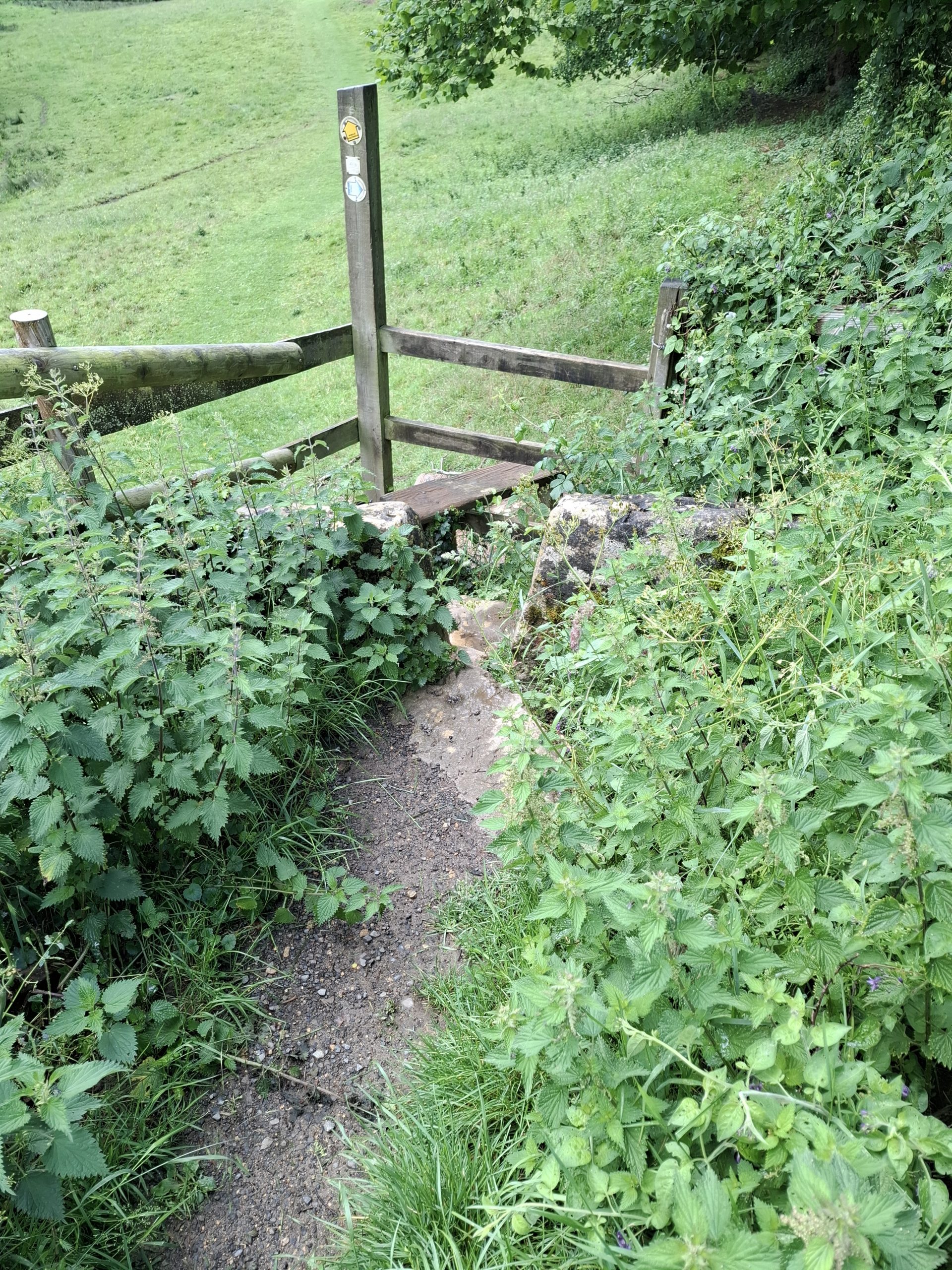 SATURDAY WALKING - PAINSWICK TO PARADISE, THE  BEACON AND BACK!