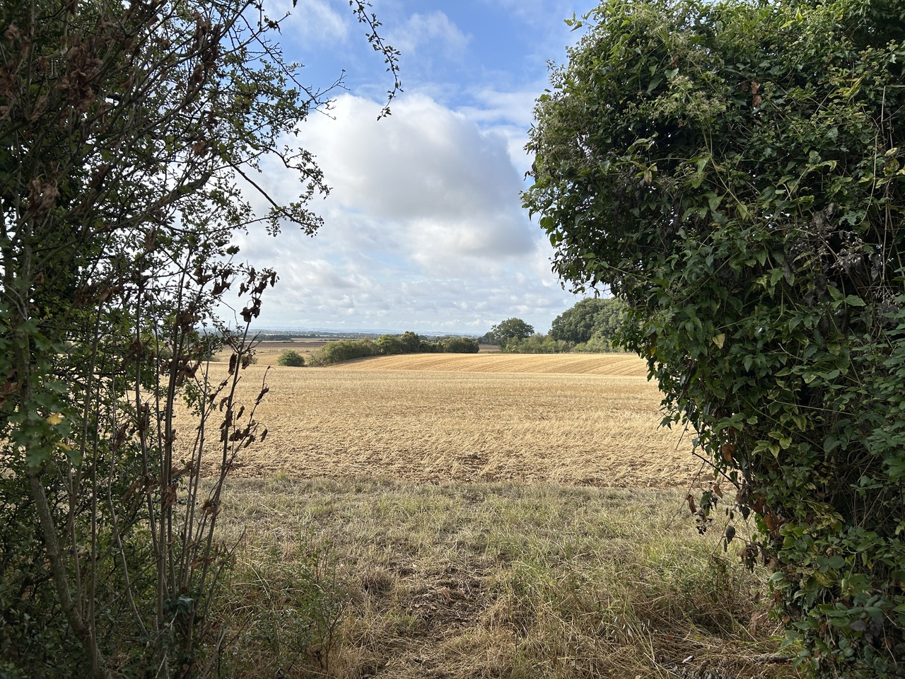 Leafield Loop