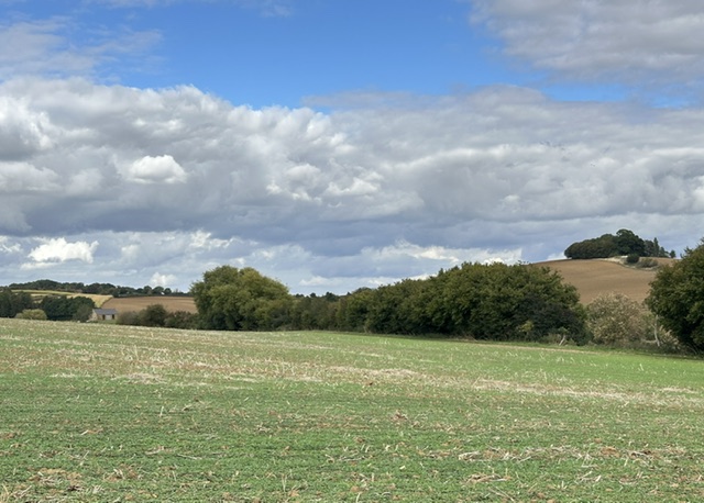 Hidcote Boyce, Bart and Fox