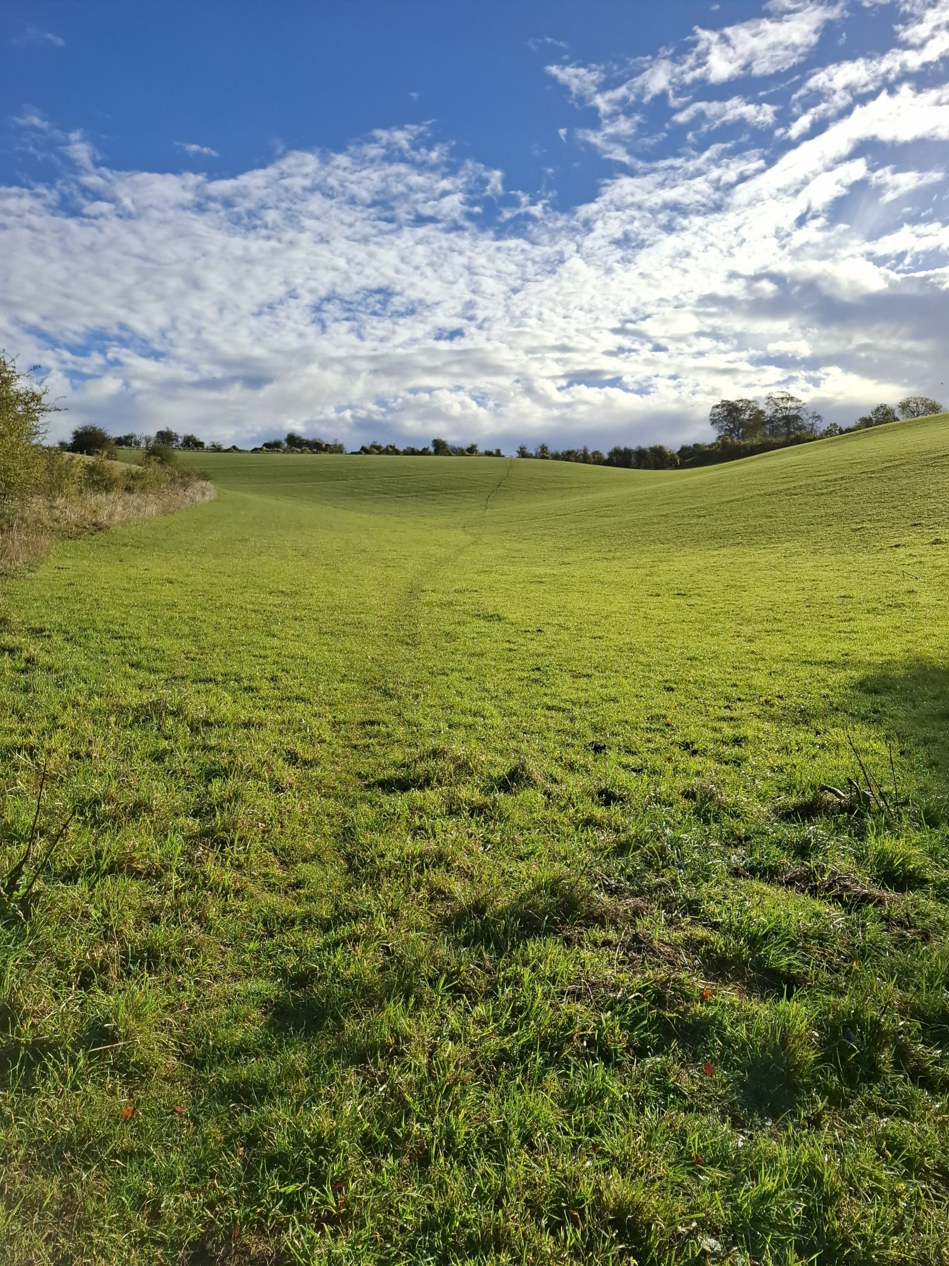 WHITTINGTON - SATURDAY WALKING 