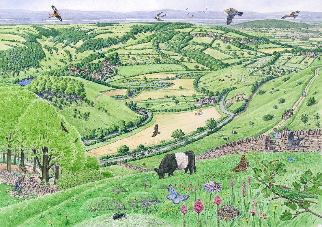 Image is an illustrated visualisation of the future landscape associated with the Common Connections project.